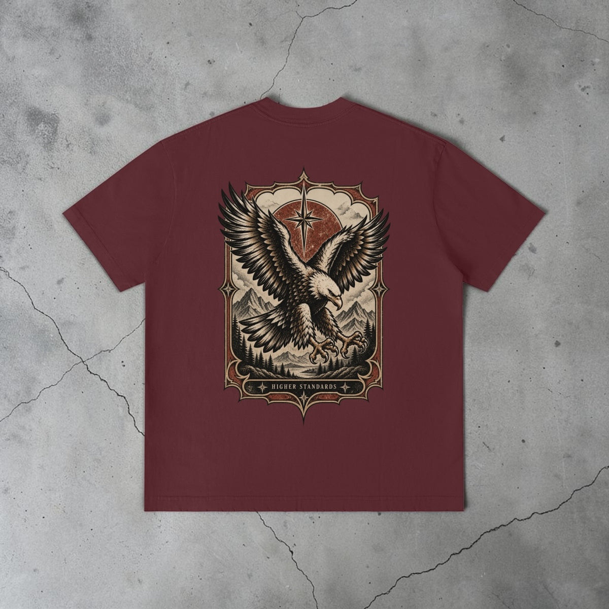 Higher Standards — Vintage Distressed Tee